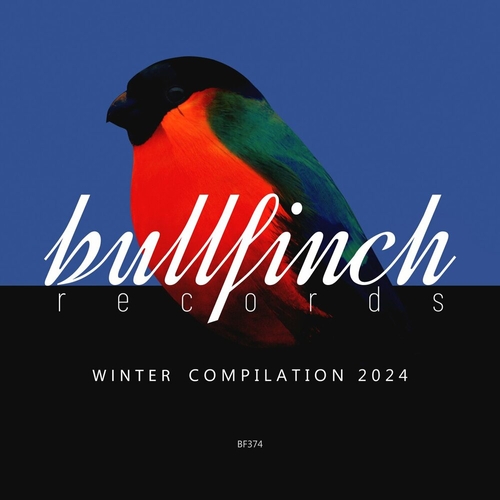 VA - Bullfinch Winter 2024 Compilation [BF374]
